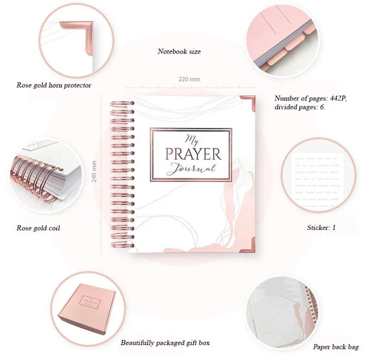 Pink Bible guide